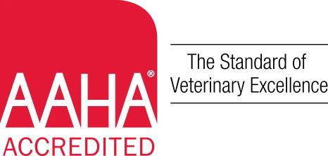 Aaha Logo Image