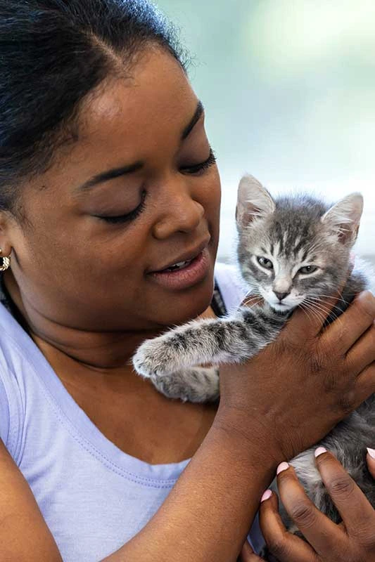 Puppykitten Women Image