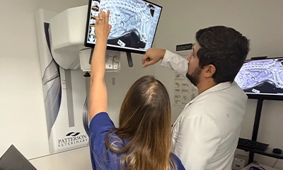 Home page for diagnostics photo at the bottom