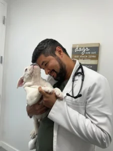 New Puppy Kitten Care Building a Long-Term Relationship