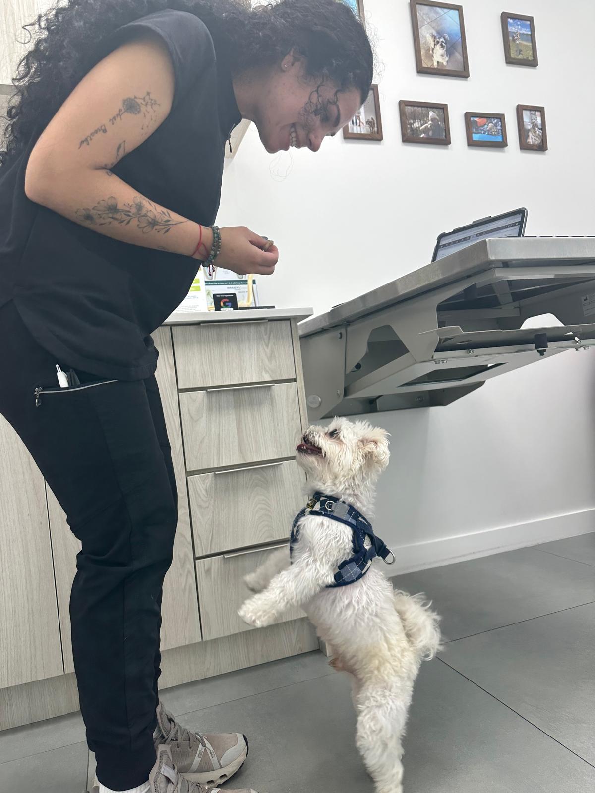 Home page _wellness care_ Schedule Your Pet’s Wellness Examination at Your Family Veterinarian