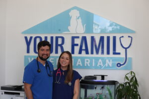 home page to replace black lab running Dr. Fernandez and Morales for - Your Family Vet